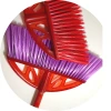 مكنسة بلاستيكية ذات فتحة متعددة الألوان من طراز BCB تنظف فرادى المكنسة في الهواء الطلق Specification image